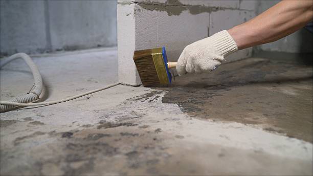 Top rated local Waterproofing specialists in Hurricane Mills, TN